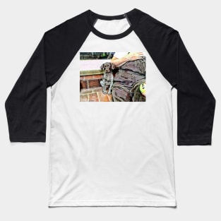 The Trusting Baseball T-Shirt